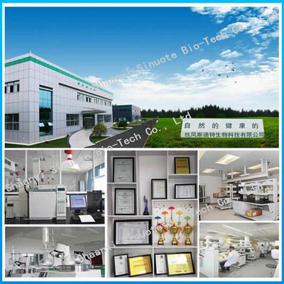 扶風斯諾特工廠 聚焦人參提取物與環保產品研發，引領綠色健康產業新趨勢